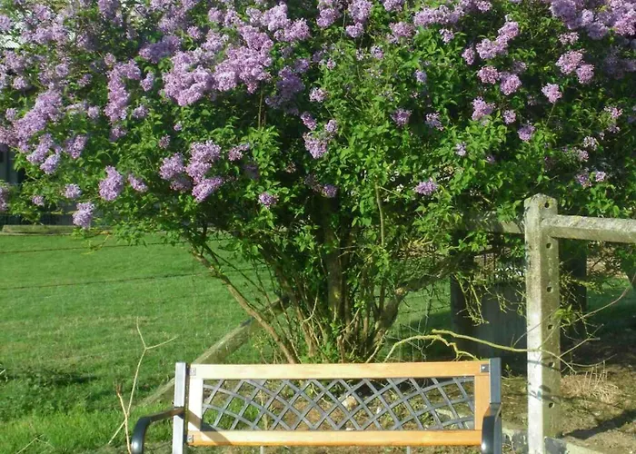 Grand A La Campagne *